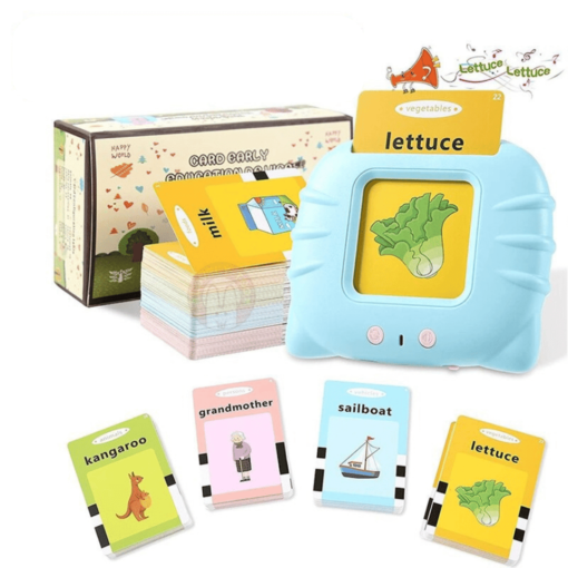 Joyfullysmile™ - Learning Flash Cards for Toddlers 2-4, Autism Toys, Speech Therapy Toys, Educational Boys and Girls