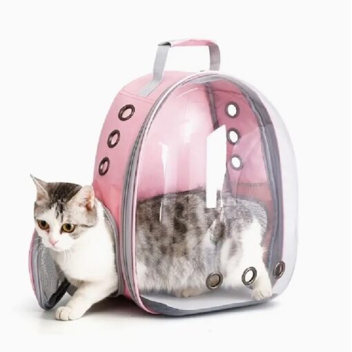 Astronaut Window Cat Backpack Carrier 3