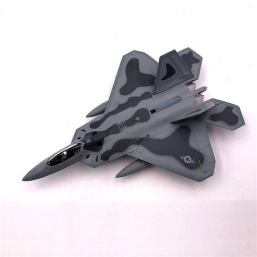 F22 Raptor 1/100 Scale Model. 5